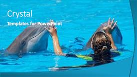  Presentation with swimming pool - Presentation design featuring dolphins-doing-a-show background and a teal colored foreground