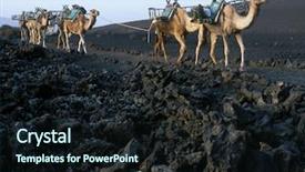  Presentation with national - Audience pleasing PPT theme consisting of domedaries timanfaya national park lanzarote backdrop and a  colored foreground