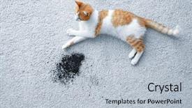  Presentation with soil - Amazing PPT theme having near scattered soil on light backdrop and a light blue colored foreground