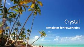 Presentation with palm beach - Presentation enhanced with dominican republic - tropical beach with palm trees background and a teal colored foreground