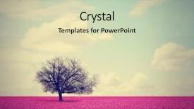  Presentation with vintage retro - Cool new theme with done with a retro vintage backdrop and a soft green colored foreground