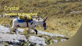  Presentation with caravan - Presentation theme having donkey caravan in cordiliera huayhuash peru south america background and a tawny brown colored foreground