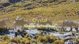  Presentation with caravan - Amazing PPT theme having donkey caravan in cordiliera huayhuash peru south america backdrop and a coral colored foreground