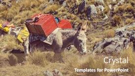  Presentation with caravan - Theme featuring donkey caravan in cordiliera huayhuash peru south america background and a coral colored foreground