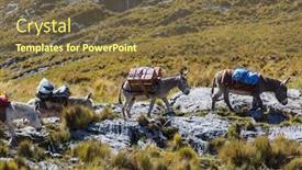  Presentation with caravan - Cool new slides with donkey caravan in cordiliera huayhuash peru south america backdrop and a tawny brown colored foreground