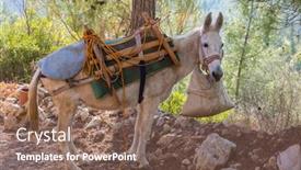  Presentation with caravan - Audience pleasing presentation consisting of donkey-caravan-in-fann-mountain backdrop and a violet colored foreground