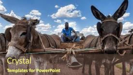  Presentation with drums - Presentation theme enhanced with donkey-card-with-four-donkeys background and a tawny brown colored foreground