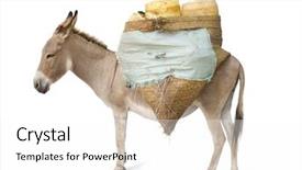  Presentation with pin tail on donkey - Audience pleasing presentation theme consisting of donkey carrying supplies in front backdrop and a white colored foreground