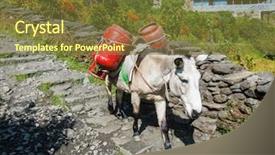  Presentation with gas - PPT theme enhanced with donkey carrying two gas cylinders background and a tawny brown colored foreground