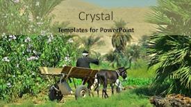  Presentation with egypt - Cool new theme with donkey cart in egypt backdrop and a mint green colored foreground