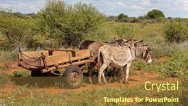 Presentation with rural road - Slide deck consisting of donkey-cart-on-a-dirt background and a tawny brown colored foreground
