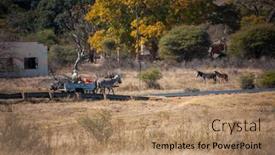  Presentation with village - PPT theme featuring donkey-cart-ride-through background and a coral colored foreground
