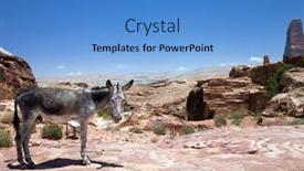  Presentation with petra - Cool new presentation theme with donkey-stands-in-front backdrop and a teal colored foreground