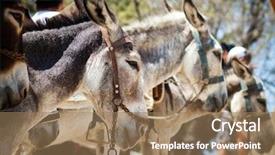  Presentation with taxi - Beautiful slide deck featuring donkey taxi in lindos backdrop and a coral colored foreground