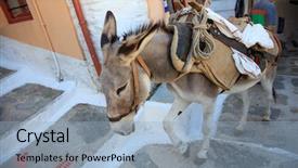  Presentation with taxi - Slide deck having donkey taxi in the mediterranean background and a light blue colored foreground