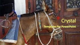  Presentation with santorini - Slide deck with donkey used for carrying tourists background and a tawny brown colored foreground