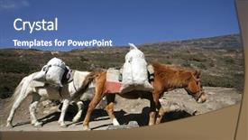  Presentation with heavy load - Presentation theme featuring donkeys carrying heavy loads annapurna background and a  colored foreground