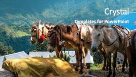  Presentation with trekking - Presentation design consisting of donkeys in harness annapurna trekking background and a teal colored foreground