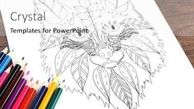  Presentation with pencils - Presentation design featuring doodle drawing of fox and colour pencils on table background and a white colored foreground
