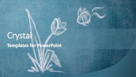  Presentation with bee - Theme enhanced with doodle flowers - chalkboard with with drawn flower background and a teal colored foreground