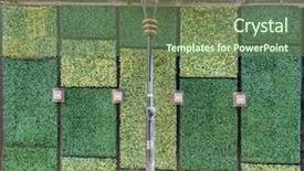  Presentation with hong kong kota - Presentation theme featuring doors entrance design at soho background and a violet colored foreground