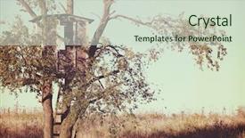  Presentation with effect - PPT theme featuring doream country - old treehouse instagram effect background and a soft green colored foreground