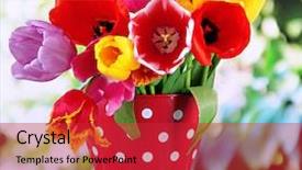  Presentation with tulips - Beautiful slides featuring dot backgrounds - beautiful tulips in bouquet backdrop and a red colored foreground