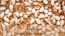  Presentation with kidney bean - Amazing PPT theme having dot-eye bean molasses backdrop and a coral colored foreground