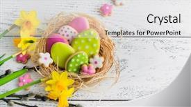  Presentation with cookies - Presentation theme featuring frost spring - easter cookies on wooden background background and a white colored foreground