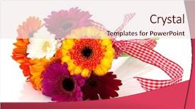  Presentation with black and white checker - Beautiful PPT layouts featuring double check - beautiful bouquet colorful gerber backdrop and a  colored foreground