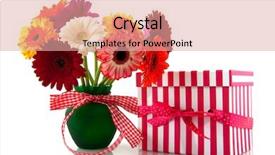  Presentation with colorful - Colorful theme enhanced with double check - beautiful bouquet colorful gerber backdrop and a  colored foreground