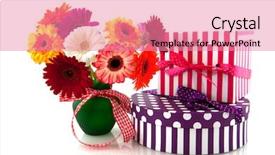  Presentation with colorful - Presentation theme with double check - beautiful bouquet colorful gerber background and a  colored foreground