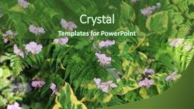  Presentation with fern - Audience pleasing PPT layouts consisting of double exposed image of fern backdrop and a tawny brown colored foreground