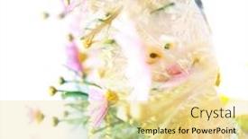  Presentation with tropical flowers - Beautiful slide set featuring double exposure close up portrait of a young pretty woman interwoven with bright leaves of a vibrant tropical tree with exotic pink flowers seemingly growing from her hair backdrop and a blonde colored foreground