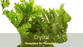  Presentation with green-leaves - Slide deck featuring double-exposure-male-profile-silhouette and a tawny brown colored foreground