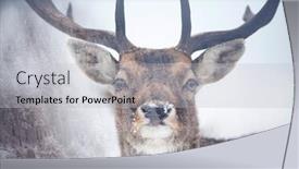  Presentation with double exposure of business people - Cool new presentation with exposure of a fallow deer backdrop and a light gray colored foreground