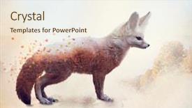  Presentation with fennec - Audience pleasing slide deck consisting of double exposure of a fennec backdrop and a  colored foreground