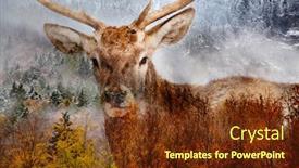  Presentation with foggy forest - Audience pleasing presentation theme consisting of double-exposure-of-a-red backdrop and a tawny brown colored foreground