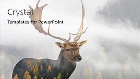  Presentation with foggy forest - Colorful PPT layouts enhanced with double-exposure-of-a-red backdrop and a white colored foreground