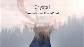  Presentation with foggy forest - Slides having double-exposure-of-a-red background and a sky blue colored foreground