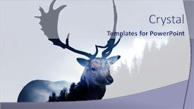  Presentation with pine forest - Amazing presentation theme having double-exposure-of-a-red backdrop and a sky blue colored foreground