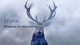  Presentation with pine forest - Presentation theme with double-exposure-of-a-red background and a light blue colored foreground