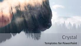  Presentation with foggy - Amazing theme having double-exposure-of-a-wild backdrop and a light gray colored foreground