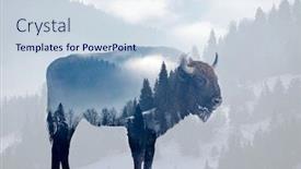  Presentation with foggy forest - PPT layouts consisting of double-exposure-of-a-wild background and a sky blue colored foreground