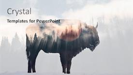  Presentation with foggy forest - Beautiful presentation theme featuring double-exposure-of-a-wild backdrop and a sky blue colored foreground