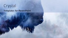  Presentation with bison - Presentation consisting of double-exposure-of-a-wild background and a light blue colored foreground