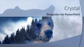  Presentation with brown bear - Beautiful presentation design featuring double-exposure-of-a-wild backdrop and a light blue colored foreground