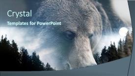  Presentation with brown bear - Colorful theme enhanced with double-exposure-of-a-wild backdrop and a ocean colored foreground