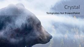  Presentation with brown bear - PPT theme having double-exposure-of-a-wild background and a light blue colored foreground