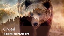  Presentation with brown bear - Audience pleasing PPT theme consisting of double-exposure-of-brown-bear backdrop and a tawny brown colored foreground